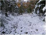 Tržič - Bistriška planina